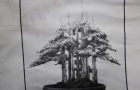 Rừng bonsai phần 4