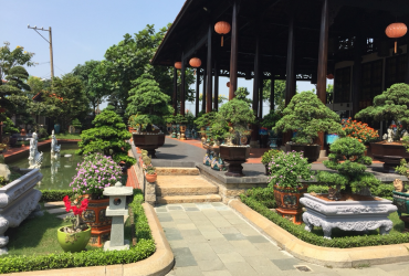 Tưới tự động cho vườn cây cảnh