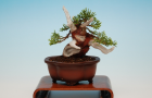 Tạo dáng Juniper P2