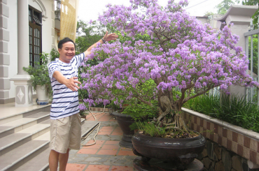 Kinh nghiệm trồng cây linh sam