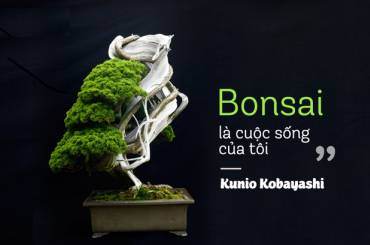 Bonsai là cuộc sống của tôi