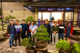Nghệ Nhân Yong Yap Chong giao lưu tại Vườn Anh Đinh Hồng Phong lúc 17h00 ngày 27-11-2018