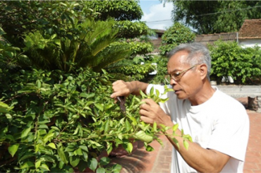Vườn Bonsai DONA - Đẹp, đẳng cấp và chuyên nghiệp nhất Miền Nam