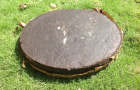 Bánh dầu đài loan