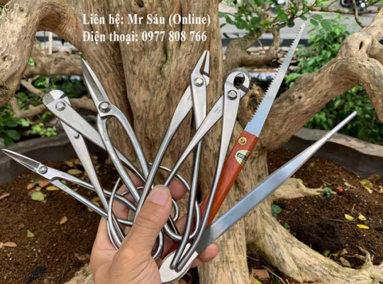 Bộ dụng cụ thép trắng Nhật Bản