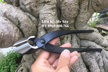 Nên sắm những dụng cụ nào để làm cây cảnh ? Phần 2