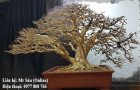 Dây kẽm uốn Bonsai 3mm