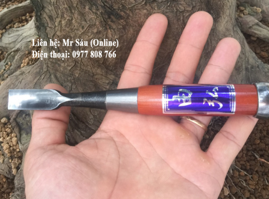 Đục lõm Nhật Bản