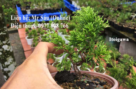 Itoigawa Nhật Bản
