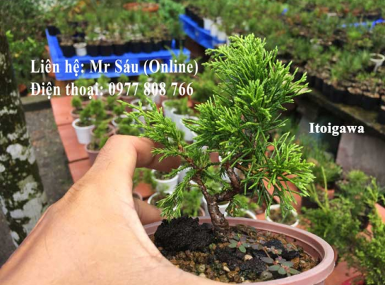 Itoigawa Nhật Bản