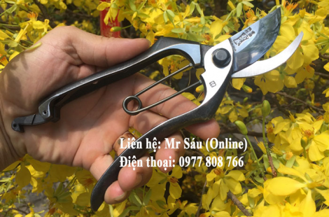 Kéo cắt cành Onoyoshi nội địa Nhật Bản A