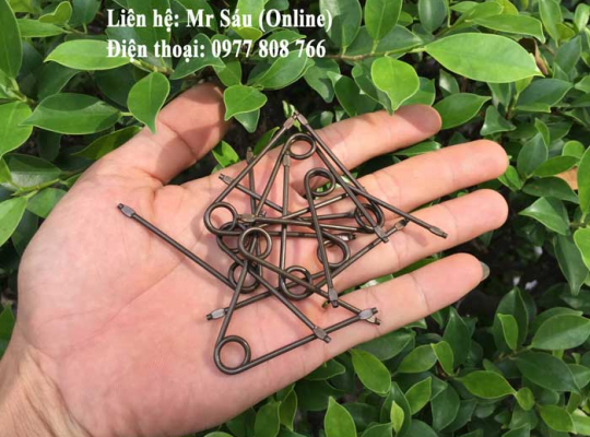 Lò xo kéo cắt cành