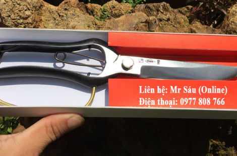 Kéo tỉa tàn, cắt cành nhỏ Nhật Bản