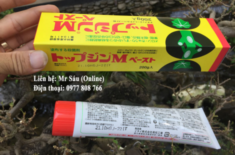 Keo liền da, liền sẹo cây cảnh A100