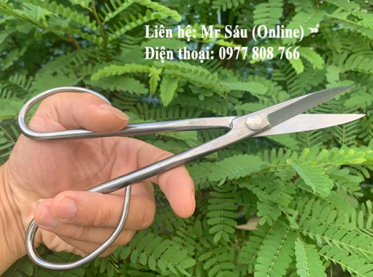 Kéo tỉa thép trắng Fx850