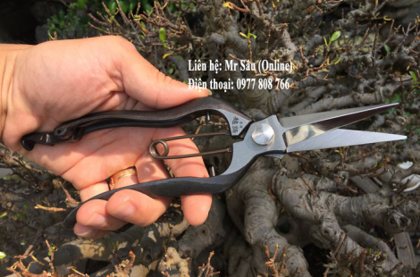 Kéo tỉa B4 Nhật Bản