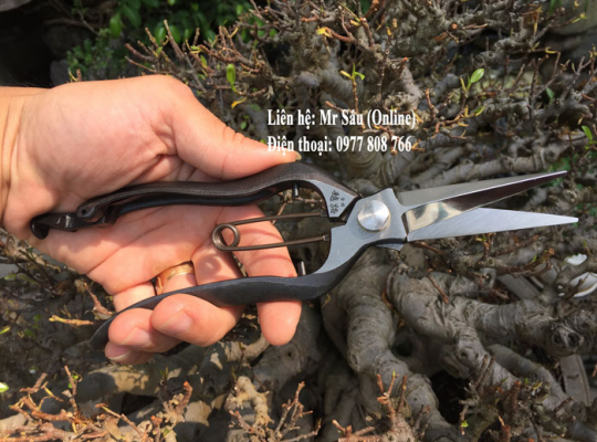 Kéo tỉa B4 Nhật Bản