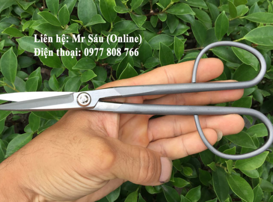 Kéo tỉa cây cảnh thép trắng