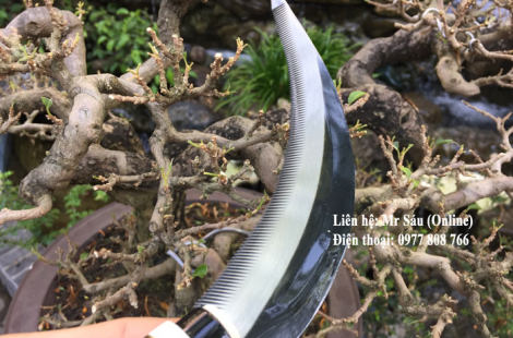 Liềm cắt bầu rễ cây cảnh siêu bén