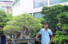 CHÀNG TRAI 9X ĐAM MÊ CÂY CẢNH BONSAI