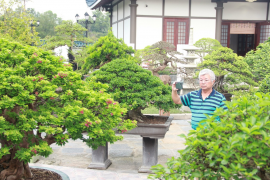 Nhiều tác phẩm Bonsai độc, lạ tại vườn DONA