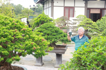 Nhiều tác phẩm Bonsai độc, lạ tại vườn DONA