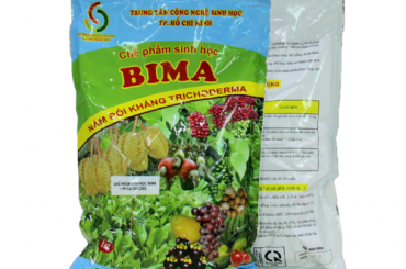 nấm TRICHODERMA