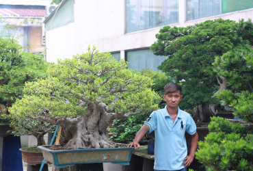 CHÀNG TRAI 9X ĐAM MÊ CÂY CẢNH BONSAI