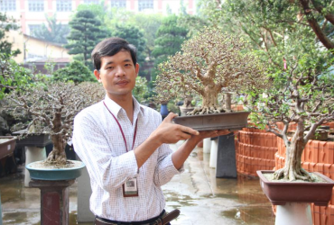 Vườn cây cảnh Vạn Niên Tùng